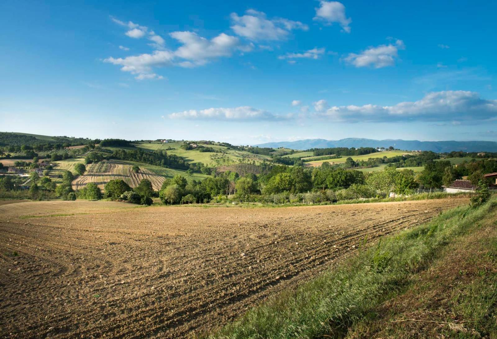 Agriturismo Piano Grande Avigliano Umbro Kültér fotó