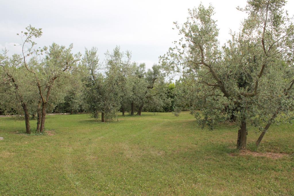 Agriturismo Piano Grande Avigliano Umbro Szoba fotó
